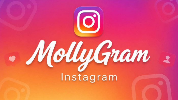 MollyGram Instagram Viewer Review 2026: Anonymous Stories, Real Risks